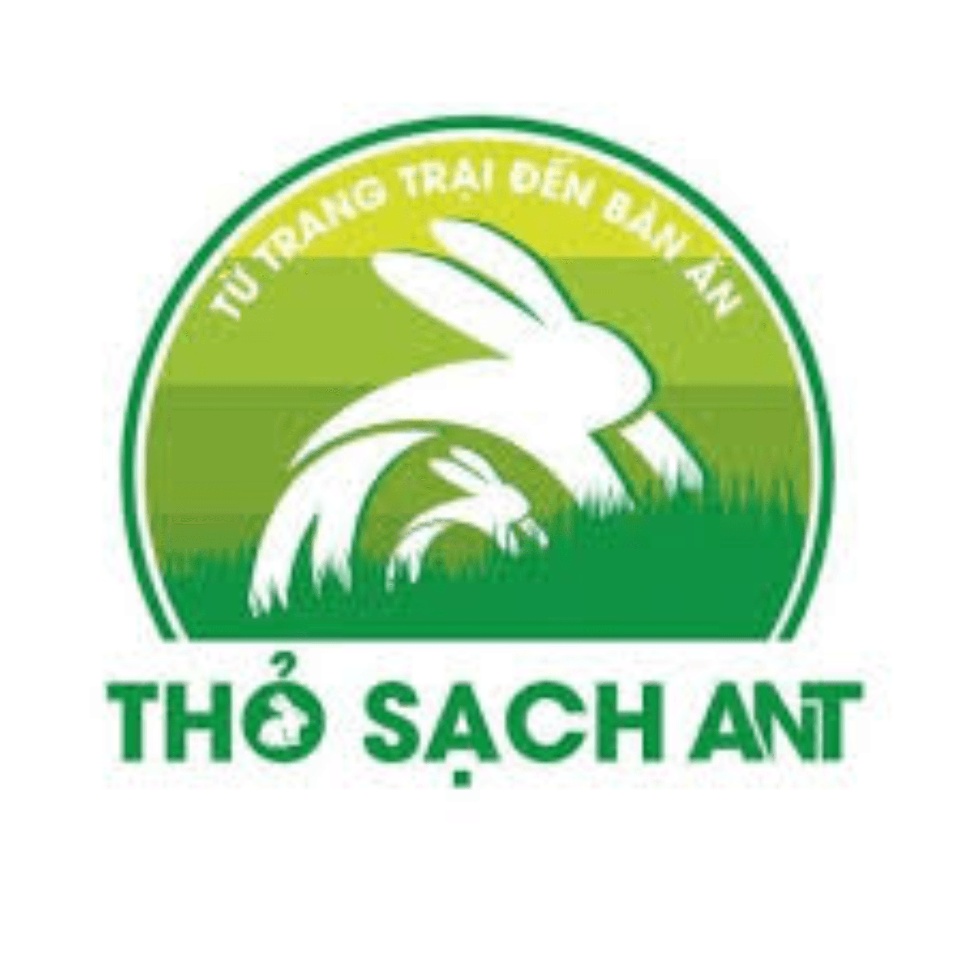 Thỏ Sạch ANT