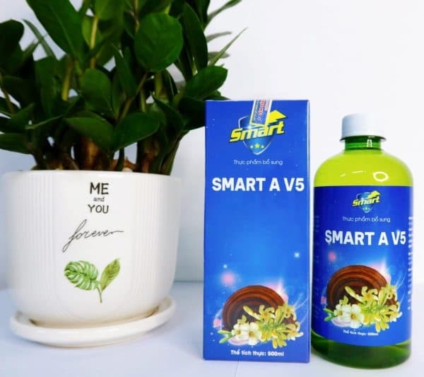 Smart A V5 - Hình 1